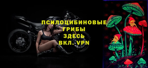 крисы Зеленодольск