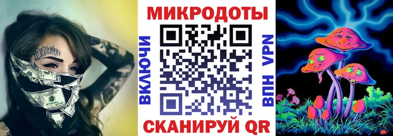 Галлюциногенные грибы Psilocybine cubensis  Альметьевск 