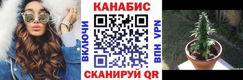 продажа наркотиков Альметьевск Конопля планчик